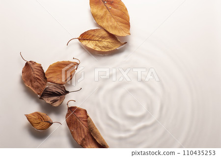 Ripples, waves, water, fallen leaves Ripples, waves, water, fallen leaves 110435253