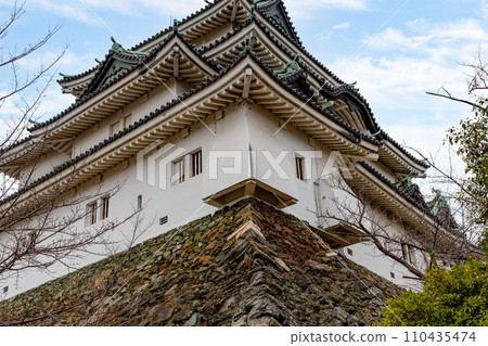 The castle tower of Wakayama Castle in Wakayama City, Wakayama Prefecture The castle tower of Wakayama Castle in Wakayama City, Wakayama Prefecture 110435474