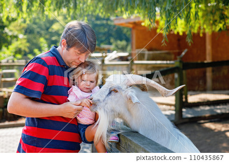 Adorable cute toddler girl and young father feeding little goats and sheeps on a kids farm. Beautiful baby child petting animals in petting zoo. man and daughter together on family weekend vacations. Adorable cute toddler girl and young father feeding little goats and sheeps on a kids farm. Beautiful baby child petting animals in petting zoo. man and daughter together on family weekend vacations. 110435867