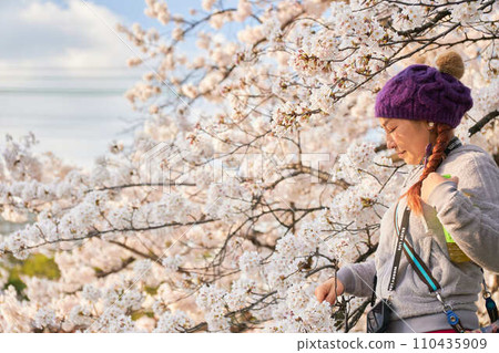 A soothing portrait of a woman and cherry blossoms in the spring light 110435909