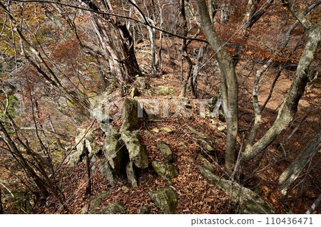 鹽原溪谷天狗岩山頂附近的山脊上的紅葉森林 鹽原溪谷天狗岩山頂附近的山脊上的紅葉森林 110436471