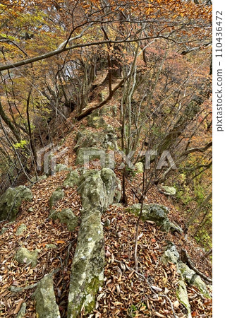 鹽原溪谷天狗岩山頂附近的山脊上的紅葉森林 鹽原溪谷天狗岩山頂附近的山脊上的紅葉森林 110436472