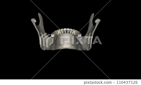 The mandibular first premolar is the tooth located laterally from both the mandibular canines 110437126