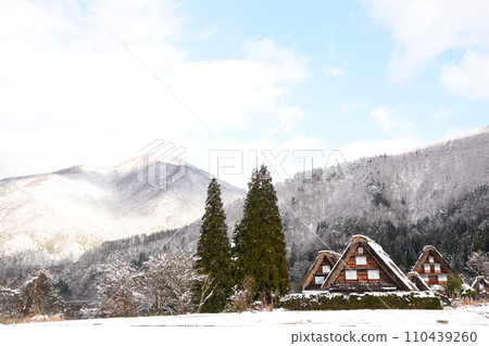 白川鄉被白雪覆蓋的村莊 白川鄉被白雪覆蓋的村莊 110439260