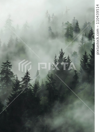 Mystical forest in the fog. Wallpaper. 110439514