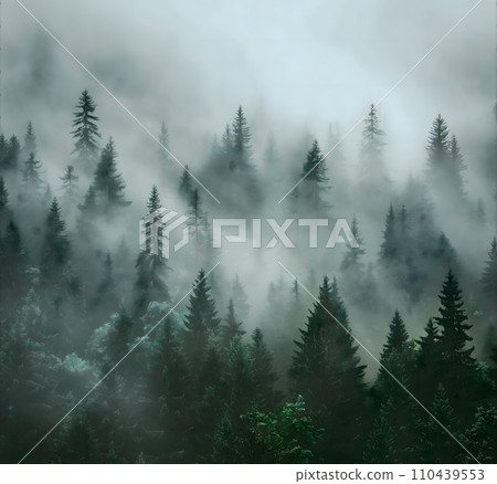 Mystical forest in the fog. Wallpaper. 110439553