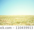 藍天和草原 110439913
