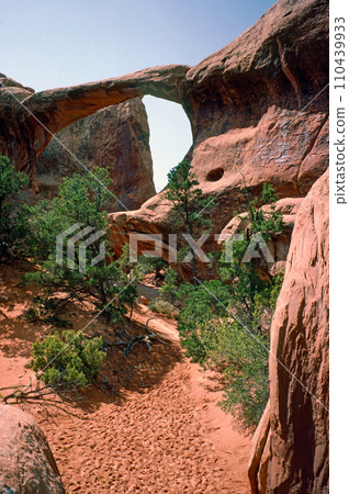 Natural landscape of limestone and sandstone rock formations inside a national parks in utah and arizona in north america in summer 110439933