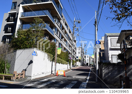 東京都大田區洗足池商店街入口 110439965