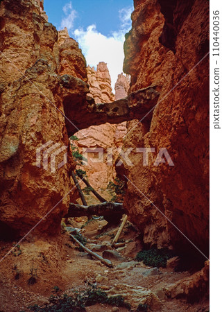 Natural landscape of limestone and sandstone rock formations inside a national parks in utah and arizona in north america in summer 110440036