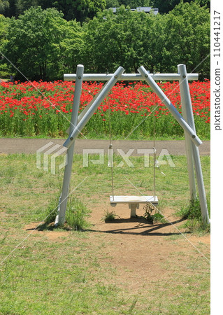 flower garden and swing flower garden and swing 110441217
