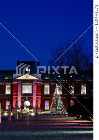 Christmas illuminations at Seibo Girls' School, celebrating its 100th anniversary 110441371