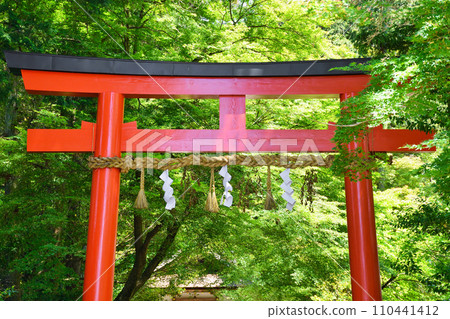 京都大田神社的朱紅色鳥居（上賀茂神社、鴨別雷神社節社） 110441412