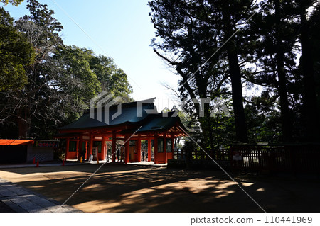 被樹木包圍的神社 110441969