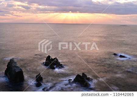 海和光點 海和光點 110442065