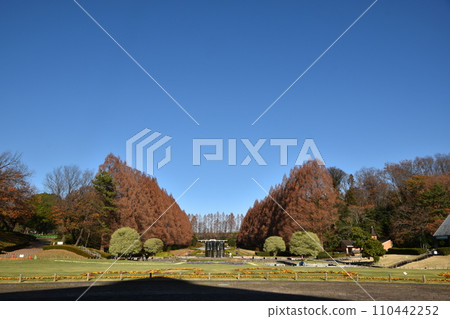 冬至前相模原公園的紅葉和風景 冬至前相模原公園的紅葉和風景 110442252