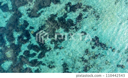 Emerald beach of Okinawa Emerald beach of Okinawa 110442543