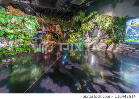 DMM Kariyushi Aquarium scenery DMM Kariyushi Aquarium scenery 110442614