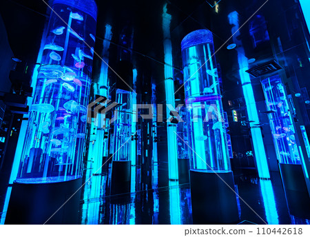 DMM Kariyushi Aquarium scenery DMM Kariyushi Aquarium scenery 110442618