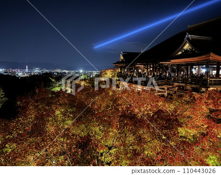 Toji Temple illuminated in autumn Toji Temple illuminated in autumn 110443026