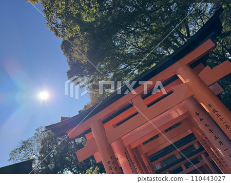 Fushimi Inari torii gate and divine light Fushimi Inari torii gate and divine light 110443027