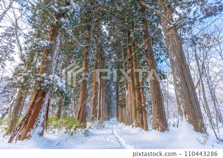 冬天的戶隱神社（長野縣長野市） 110443286
