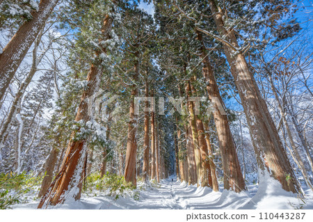 冬天的戶隱神社（長野縣長野市） 110443287