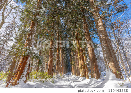 冬天的戶隱神社（長野縣長野市） 110443288