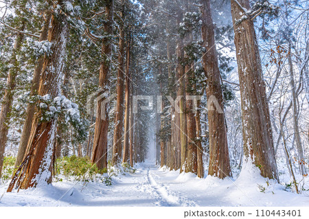 冬天的戶隱神社－雪景（長野縣長野市） 110443401