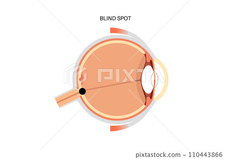 Blind spot poster Blind spot poster 110443866