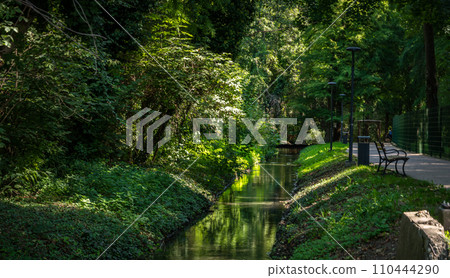 green forest park next to the thermal baths in Heviz, Hungary green forest park next to the thermal baths in Heviz, Hungary 110444290