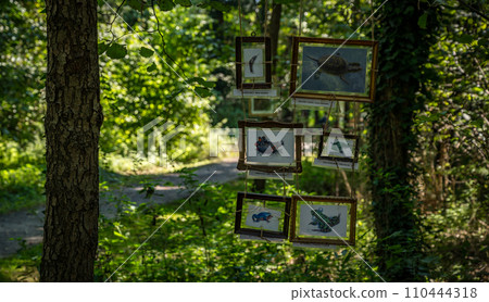 green forest park next to the thermal baths in Heviz, Hungary 110444318