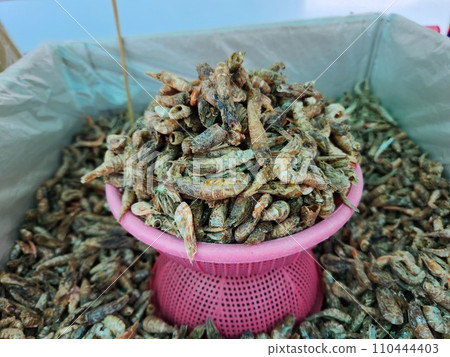 dried shrimp in South Korea dried shrimp in South Korea 110444403