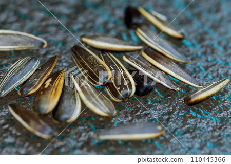 white sunflower seeds on the table white sunflower seeds on the table 110445366