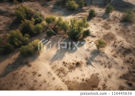 Death of the forest, drought in the desert. Feature of an environmental disaster. 110445639