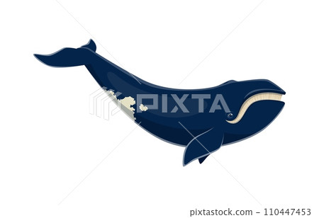 Blue whale character. Isolated cartoon vector largest animal on earth, living in the oceans. Majestic and magnificent sea creature known for its immense size and distinctive blue-gray coloration 110447453