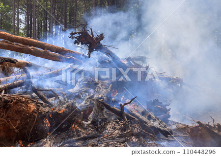 Burning uprooted trees during land preparation for construction of house 110448296