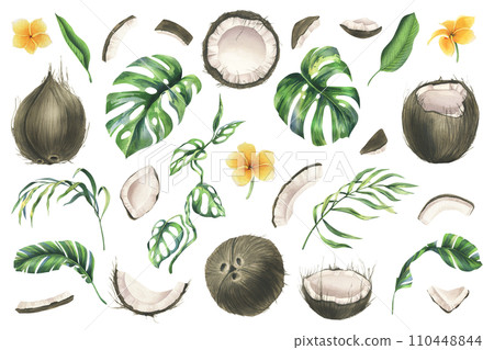 Coconuts whole, halves and pieces with bright, green, tropical palm leaves and yellow plumeria flowers. Hand drawn watercolor illustration. Set of elements isolated from the background. 110448844
