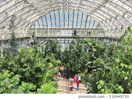 People in a botanical garden 110449730