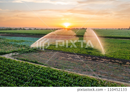 Water spraying system hydrates plants on agricultural field in morning aerial view. Automatic irrigating equipment helps farmers to care plants 110452133
