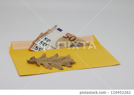 Dry leaf. banknotes in a yellow envelope. open envelope with banknotes on a light background. envelope with banknotes. close-up of an envelope with cash. international currency banknote. Euro dollars 110452262