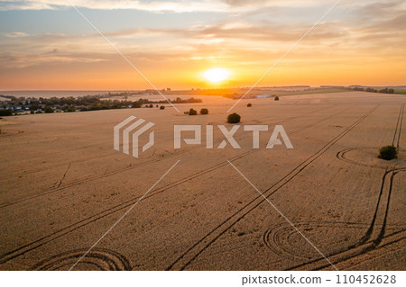 A tranquil sunset casts a warm glow over a sprawling wheat field dotted with tire tracks, highlighting the peaceful countryside scenery. 110452628