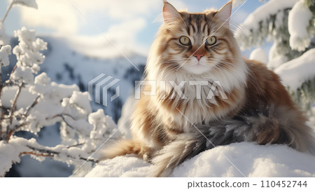 AI-generated content. Adorable brown fluffy cat, sitting on snow, in beautiful winter landscape 110452744