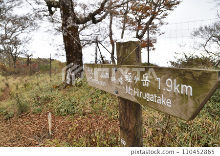 Hirugatake mountain trail 110452865