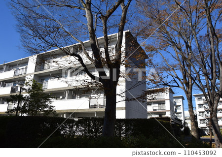 Showa-era housing complex revived through renovation Showa-era housing complex revived through renovation 110453092
