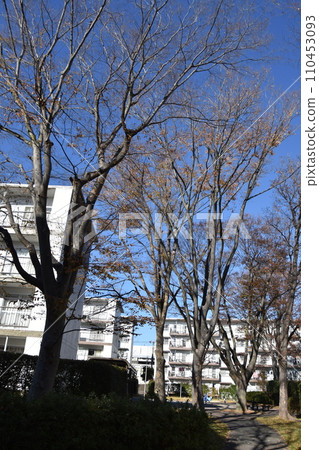 Showa-era housing complex revived through renovation Showa-era housing complex revived through renovation 110453093