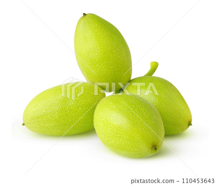 Green walnuts on a stem, isolated on white background 110453643