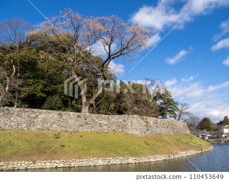彥根城的內護城河和石牆(頭帶腰石牆)。 12月,從滋賀縣國道518號彥根城線拍攝。 彥根城的內護城河和石牆(頭帶腰石牆)。 12月,從滋賀縣國道518號彥根城線拍攝。 110453649