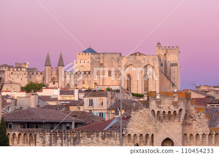 Palace of the Popes, Avignon, France Famous Avignon Bridge, France Palace of the Popes, Avignon, France Famous Avignon Bridge, France 110454233