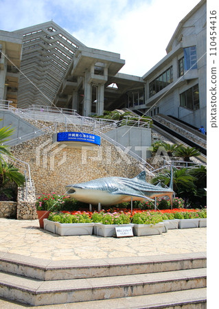 Churaumi Aquarium/Okinawa Memorial National Park Whale shark object in Ocean Expo Park (Motobu Town, Kunigami District, Okinawa Prefecture, Japan) Churaumi Aquarium/Okinawa Memorial National Park Whale shark object in Ocean Expo Park (Motobu Town, Kunigami District, Okinawa Prefecture, Japan) 110454416